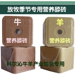 羊营养添砖-防治吃塑料、吃沙土、不发情等问题