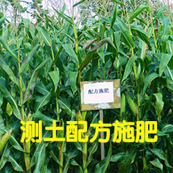 测土施肥配方