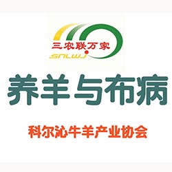 养羊户必读：养羊与布鲁氏杆菌病