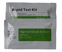 牛布病快速检测卡（牛布鲁氏杆菌病抗体快速检测卡）